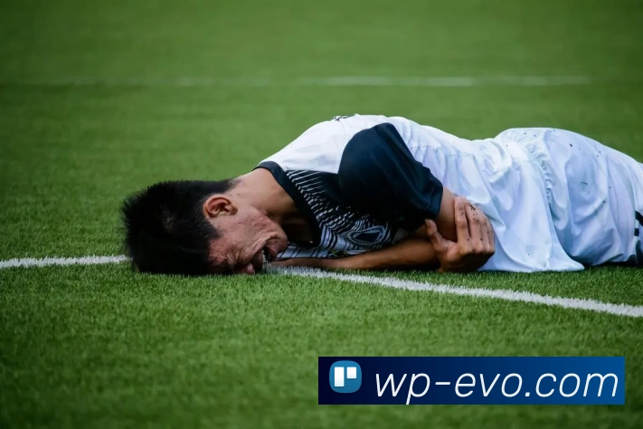 EVO真人官网APP 封面图